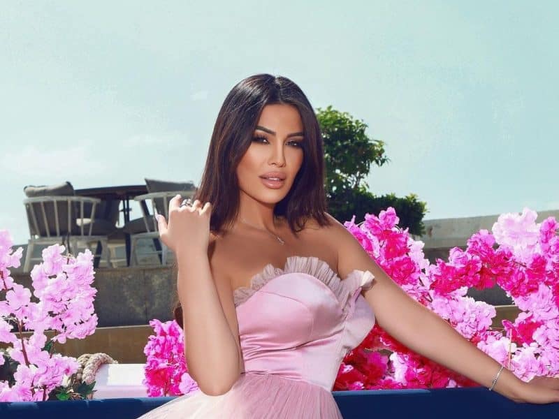 قصة مسلسل أمير العوامري